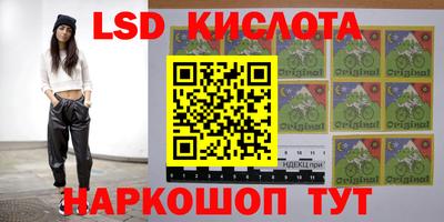 mdpv Новозыбков