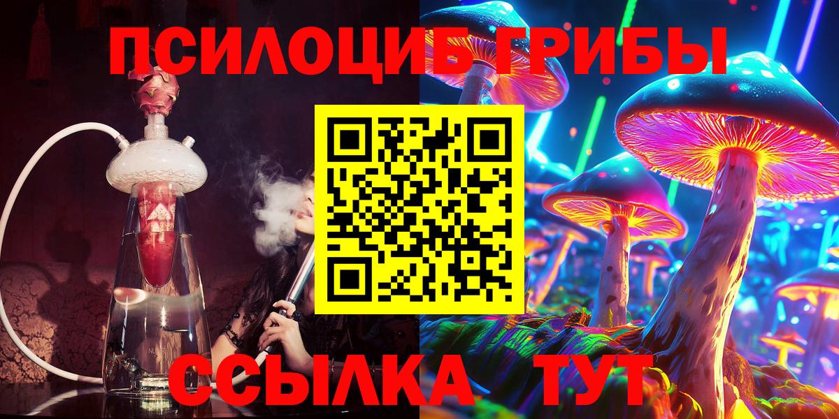 Псилоцибиновые грибы Psilocybe Ревда